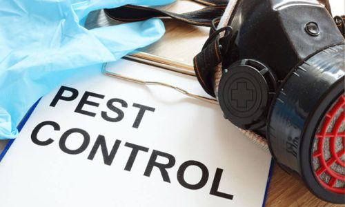 How-to-Find-the-Best-Pest-Control